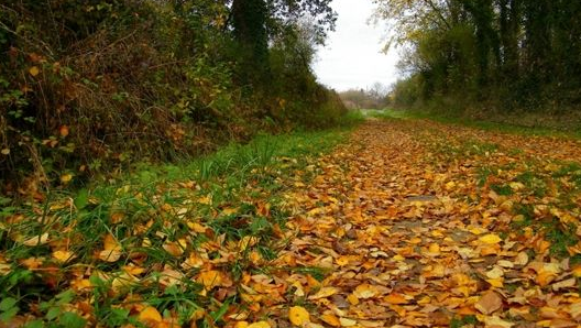 l'arrivée de l'automne